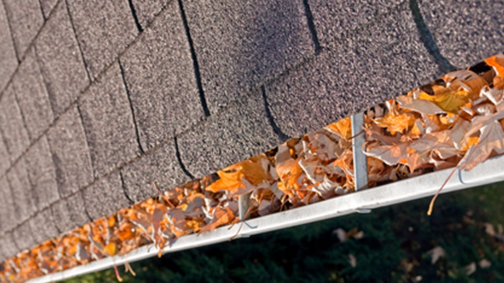 Gutters Banner Image
